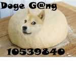 doge g@ng