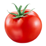Tomato Fan group