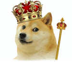 King Doge's Kingdom