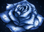 the blue and red and white roses