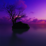 Mr Sentinel