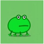 My cute frogssss