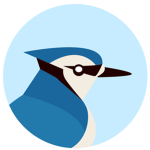 Blue Jay Airways