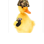 Ducky defenders