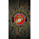 UNITED STATES MILITARY FORCES ####
