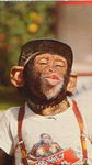 MONKEY RIZZ GROUP