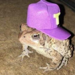 “The Froggy’s”