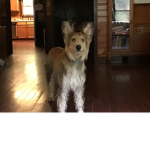 RolePlayGreatness