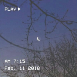 *ੈ✩‧˚