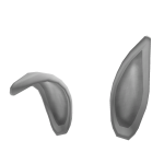 White Bunny Ears