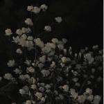 GALERIE D’EXPOSITION