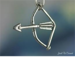 Pro With Bow And Arrow
