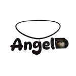 angel 3.0
