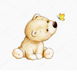 |~The Teddy Bear’s~|