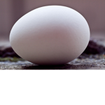 Wall Egg