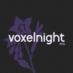 voxelnight