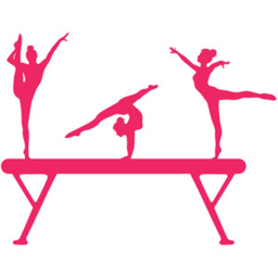 Emmie's Gymnastics Competition Area (IN THE MAKING