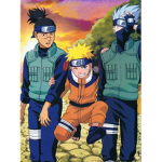 Naruto Fans come