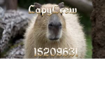 CapyCrew