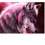 Welcome to the Wolf squad