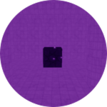 An Iris