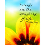 Sunshine Friendship