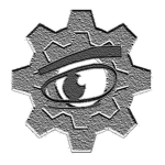 The Incognito Eye