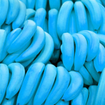 Bleu Banana Squad