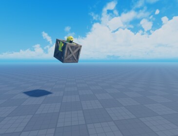 Box Fly
