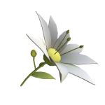 Adorable spring flower accessory green and white
