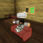 zed's bedroom