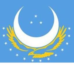 Türk Ordusu V0.1