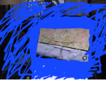 Stickbug_army
