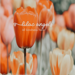 Lilac Angels