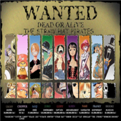 One piece Roblox decal