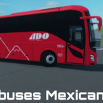 Mexican Buses