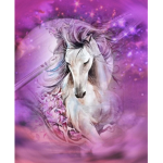 Envy's Equestrian Center