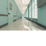 Asylum Rp.
