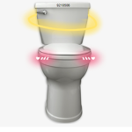 the holy toilet gang