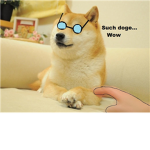 Awsome Doge Fans