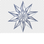 Star Show