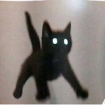 Clan_UwU