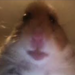 RainbowPancakeYT Official Group