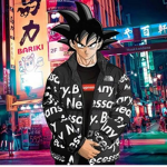 The working saiyans