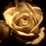 Respawn Project