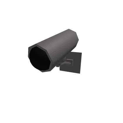 Camera Decoration