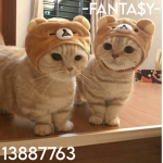 -FANTA$Y-