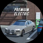 Premium Electric Vehicles Access
