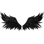 Black Angle Wings