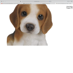 DOG GROUP ( DOGES ALOUD )